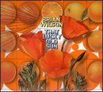 Brian Wilson - That Lucky Old Sun 