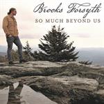 Brooks Forsyth - So Much Beyond Us